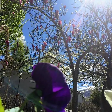 Magnolia 2 Locazione Turistica Appartamento *